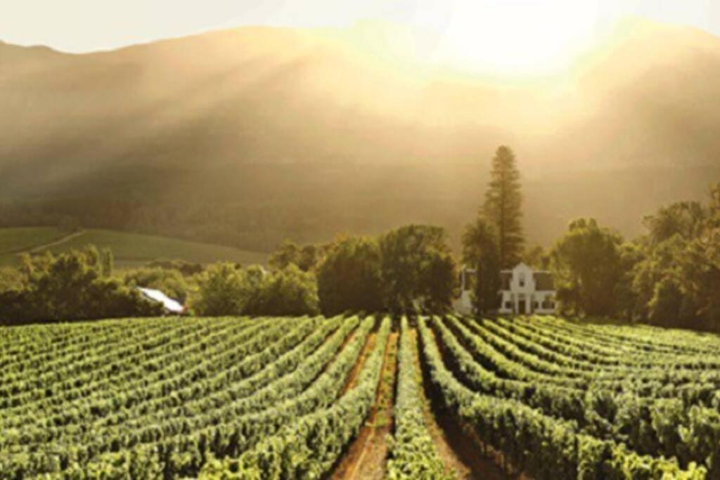 The Paragon Solo Modern Deluxe Central To Cape Town Luaran gambar